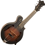 Gold Tone 6-String Mandolin Guitar, F-Style, Solid Spruce, Maple Back/Sides, Includes Case F6